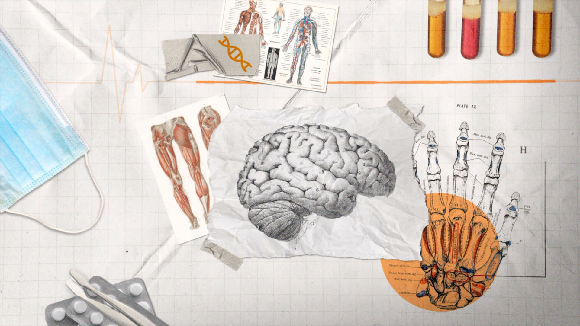 12. Paper Fold Animation.jpg