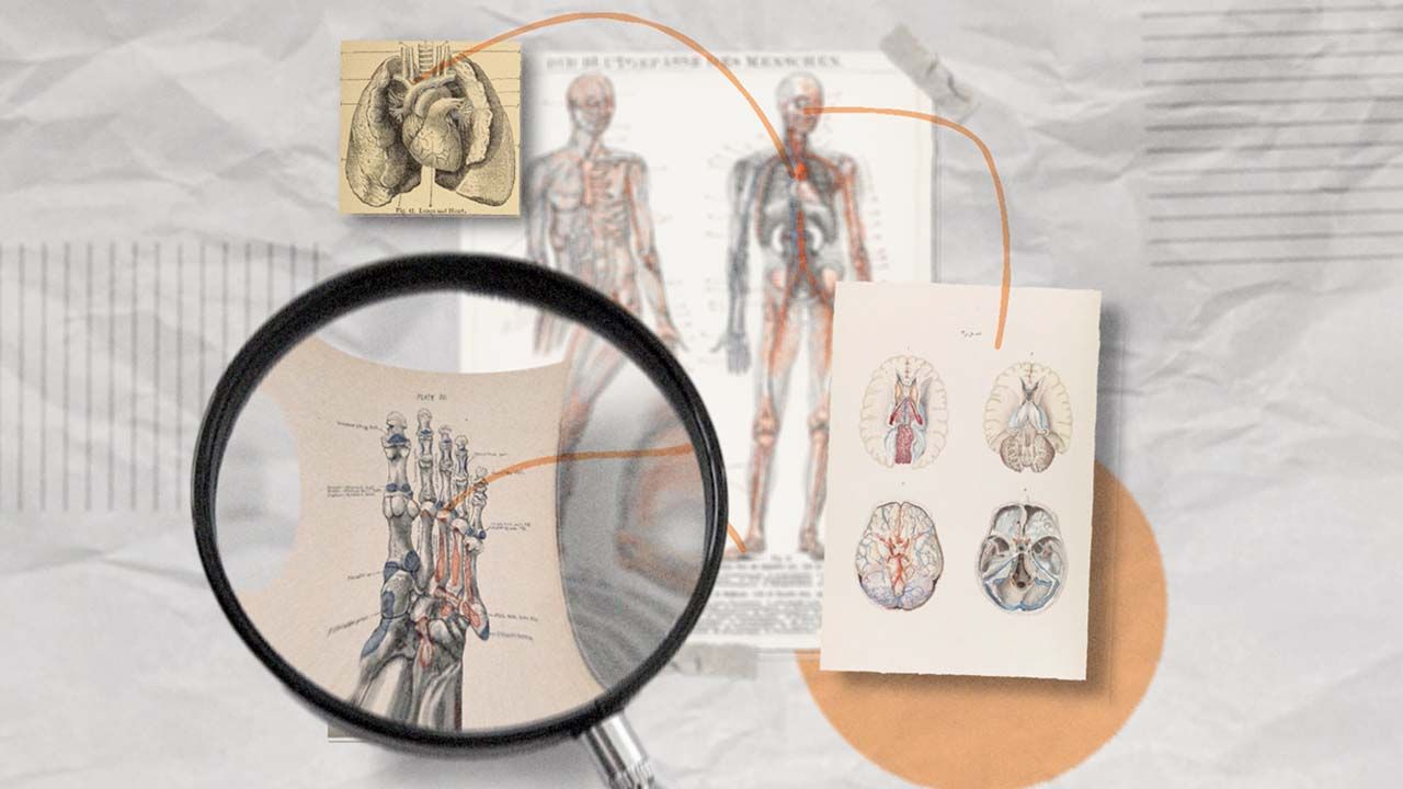 Confidently be able to bring your creative ideas to life..jpg